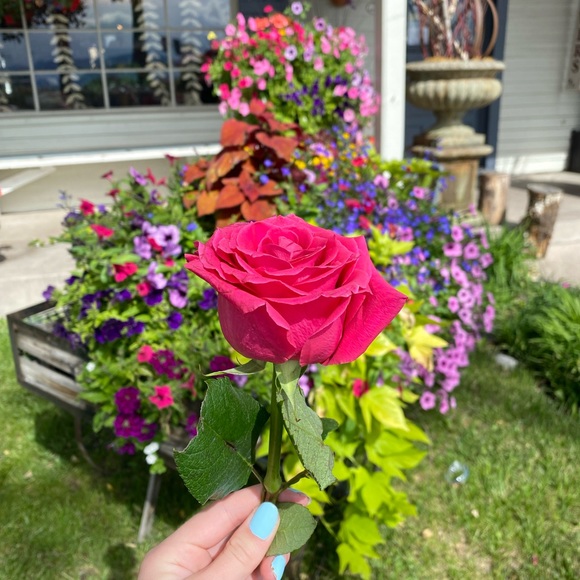 Meet your Posher, Samantha - Picture 2 of 10